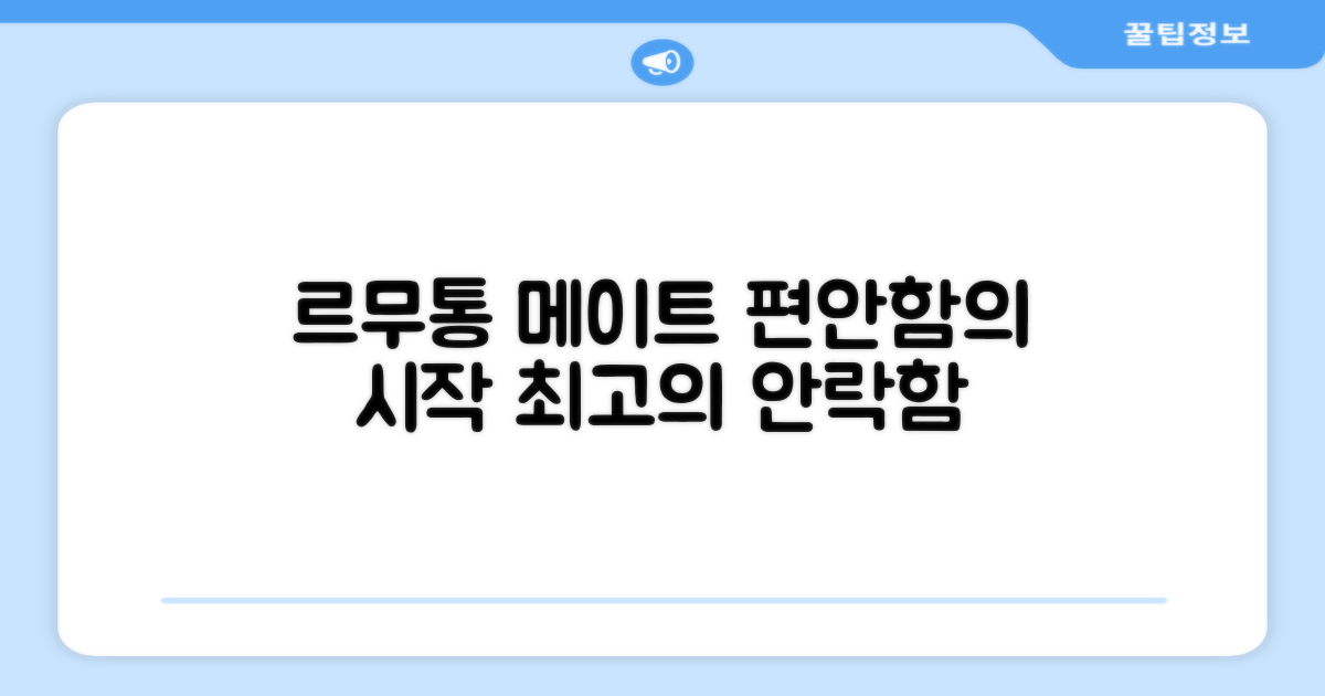 르무통 메이트, 편안함의 시작