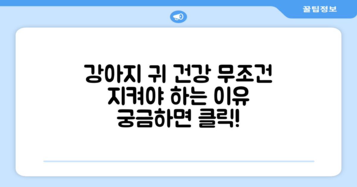 강아지 귀 건강, 왜 중요할까?