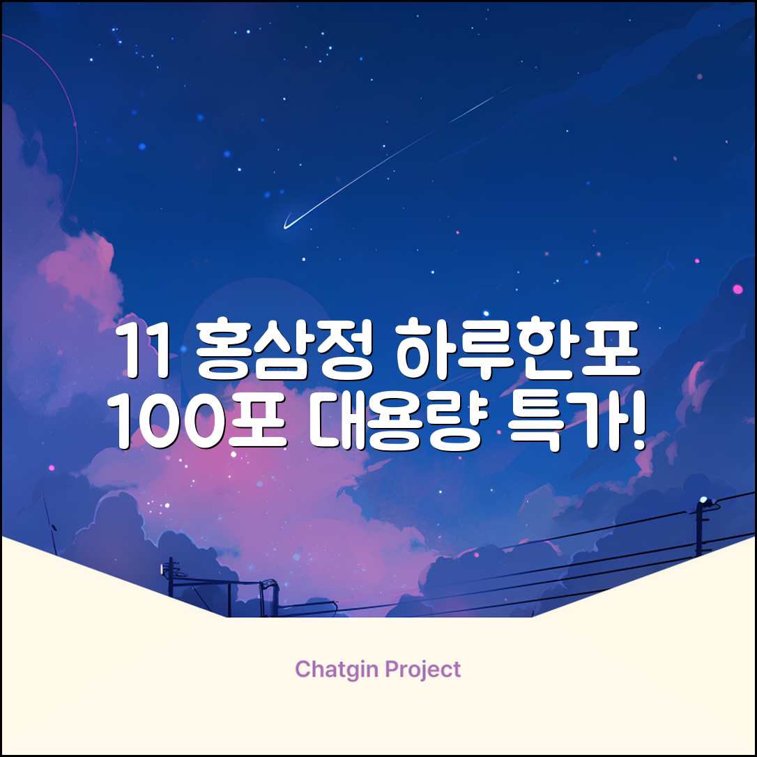 [1+1 특가] 홍삼정 6년근 하루한포 100회분 대용량+쇼핑백, 2개, 1L 추천 리뷰