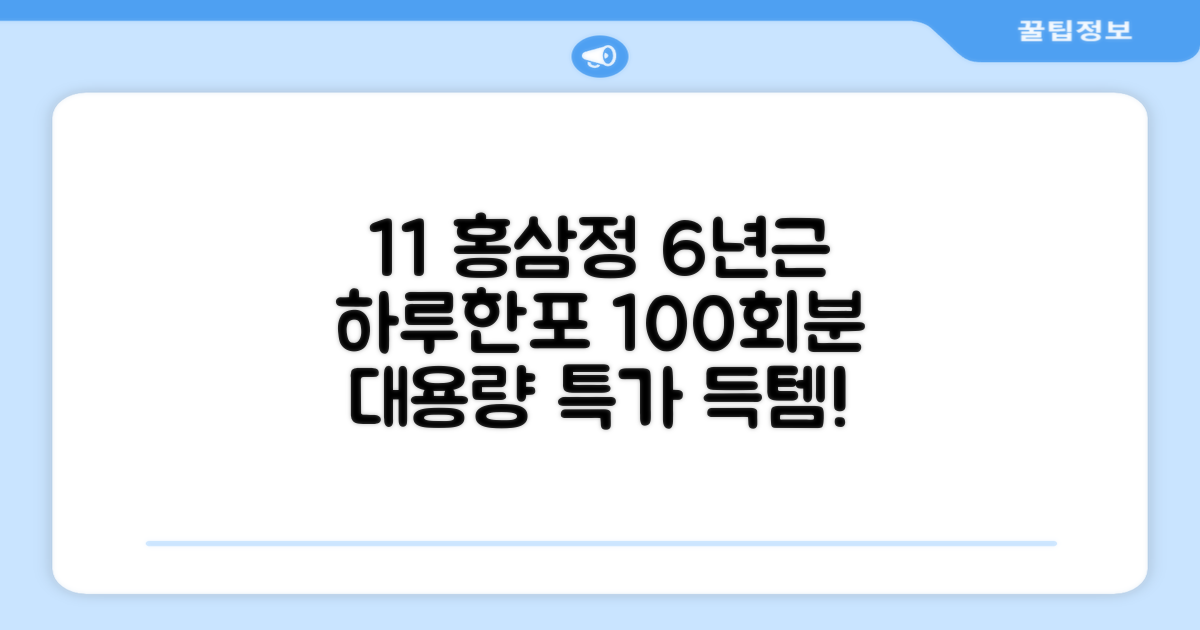 [1+1 특가] 홍삼정 6년근 하루한포 100회분 대용량+쇼핑백, 2개, 1L 추천 리뷰