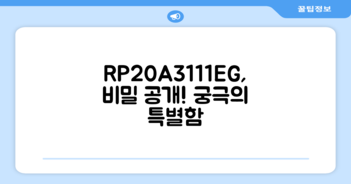 RP20A3111EG, 특별함은 무엇인가요?