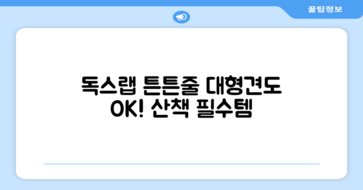 독스랩 1.5m 2m 3m 5m 스트롱 로프 소형견 중형견 대형견 줄 강아지 리드줄 산책줄, 블랙, 1개 추천 리뷰