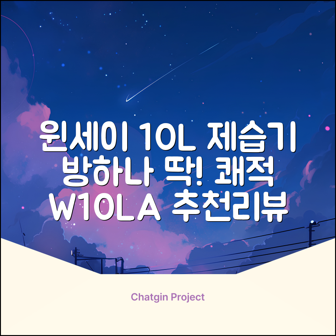 윈세이 인버터 방하나 공기청정 제습기 10L W10LA 추천 리뷰