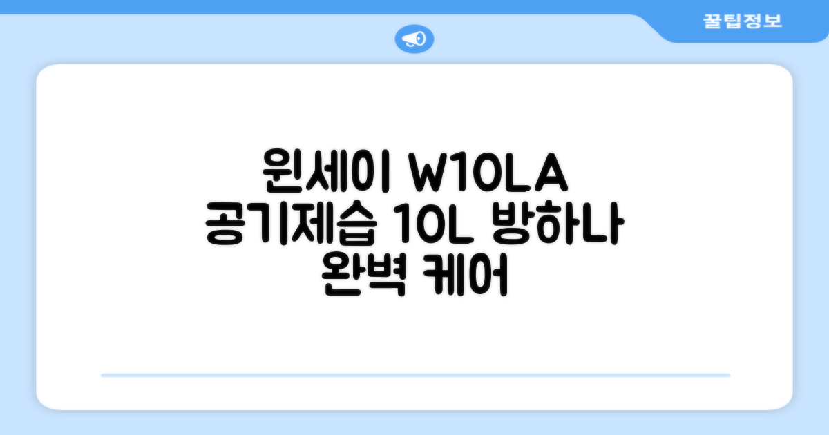 윈세이 인버터 방하나 공기청정 제습기 10L W10LA 추천 리뷰