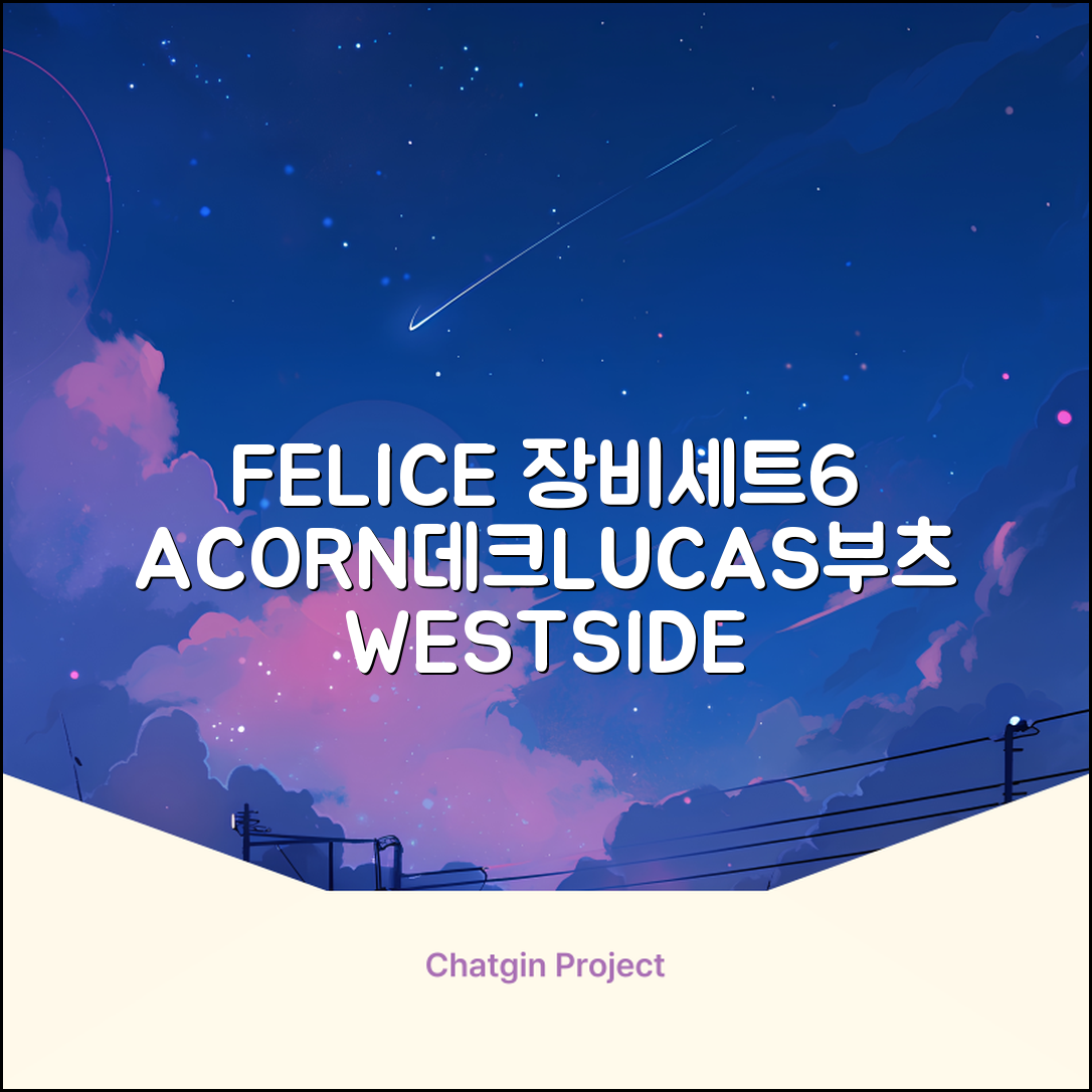 FELICE 장비세트6 ACORN데크 바인딩 LUCAS부츠, WESTSIDE 레드154+바인딩M, 1개 추천 리뷰