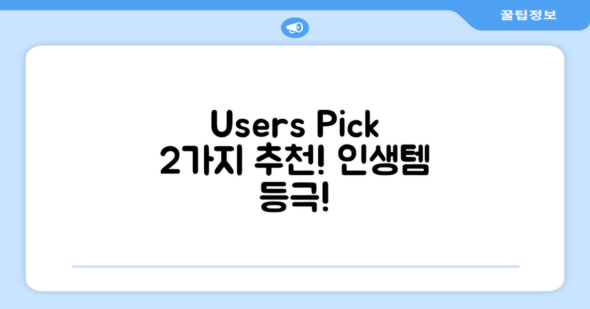 2가지 추천 사용자 후기