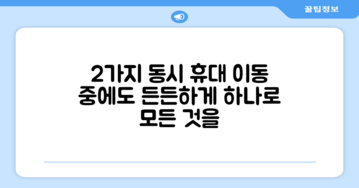 2종목 이상 동시 휴대