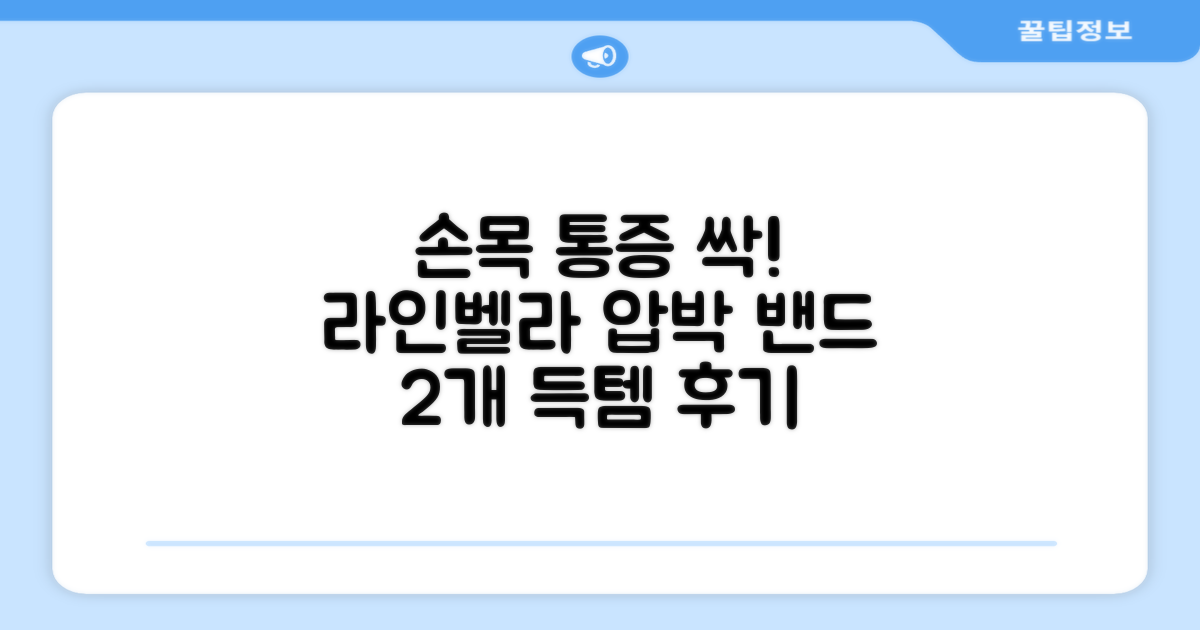 라인벨라 의료용 손목 압박용 밴드 블랙, 2개 추천 리뷰