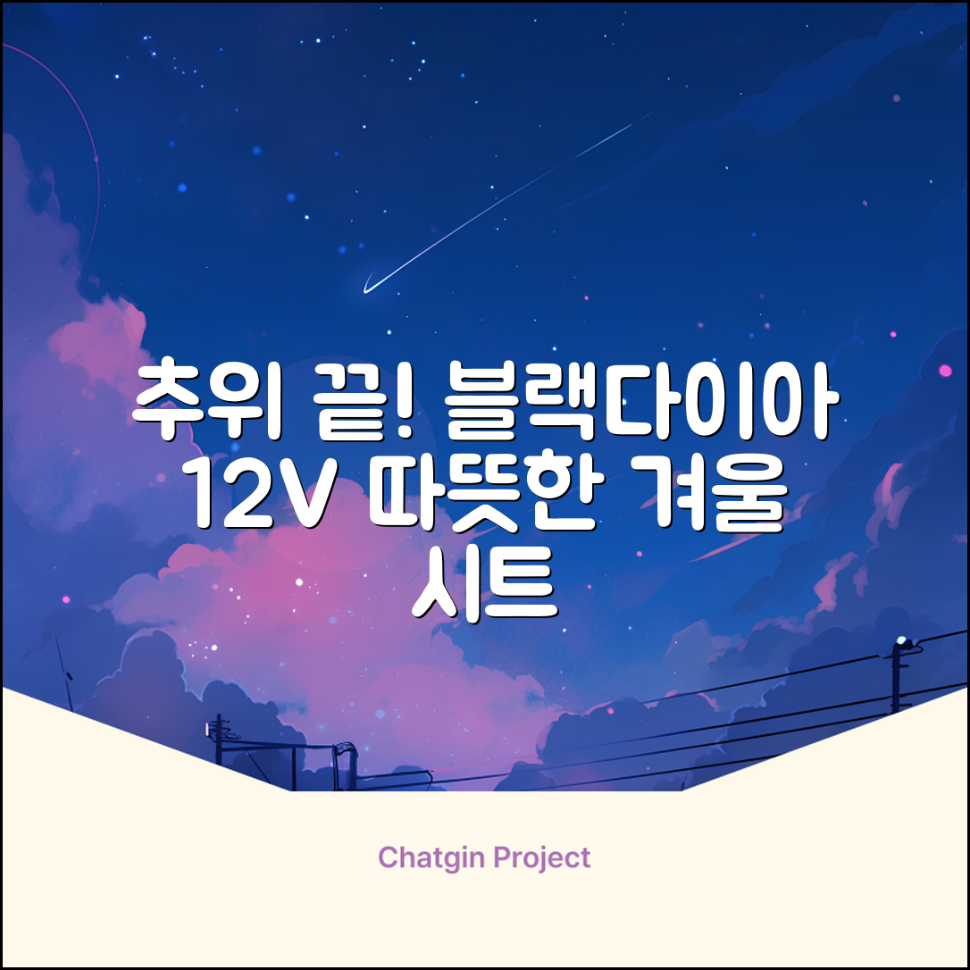 블랙다이아 차량용 열선시트 (1P) 털 겨울 히팅 전기시트, 1개, 12V (운전/조수석) 추천 리뷰