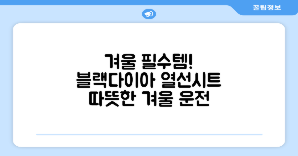 블랙다이아 차량용 열선시트 (1P) 털 겨울 히팅 전기시트, 1개, 12V (운전/조수석) 추천 리뷰