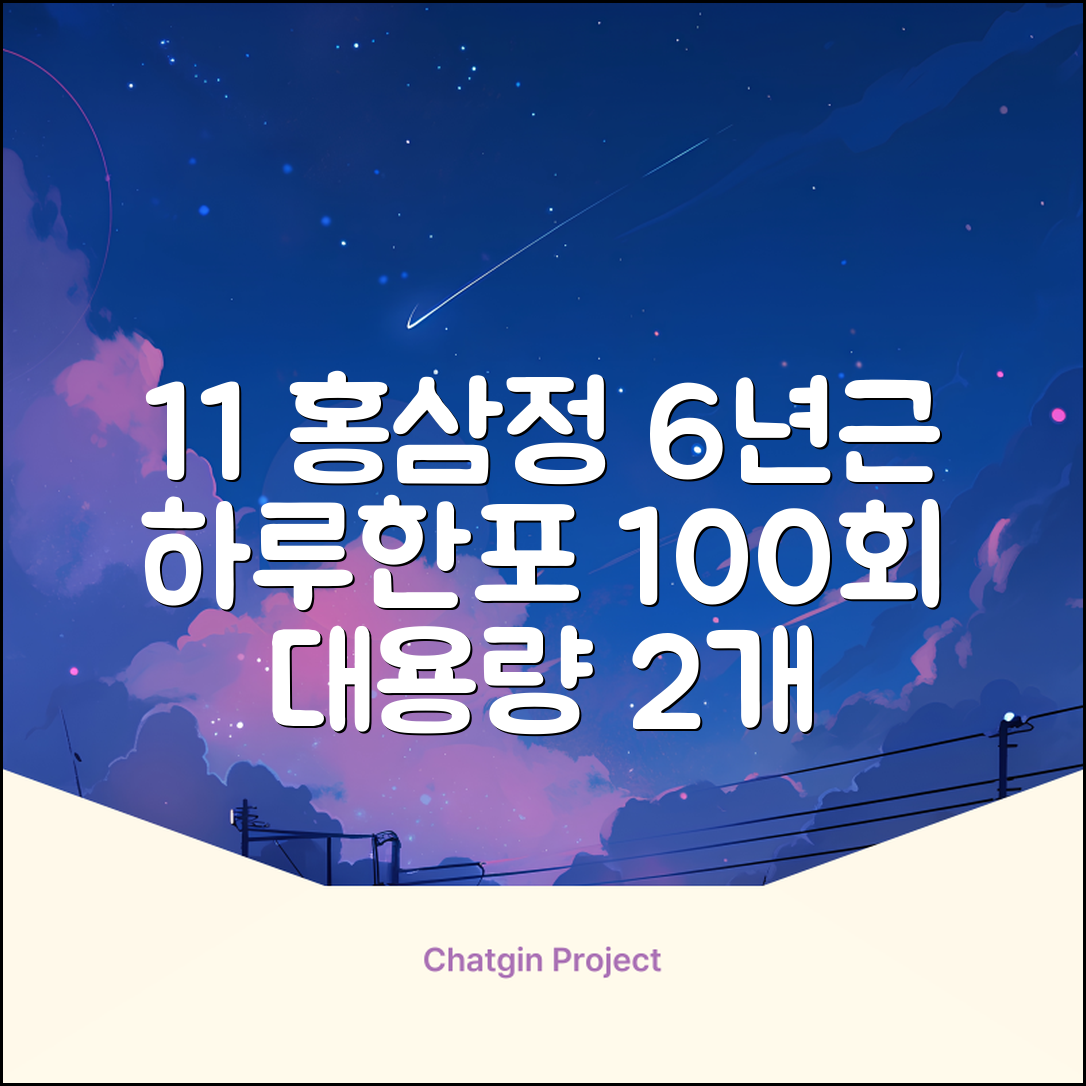 [1+1 특가] 홍삼정 6년근 하루한포 100회분 대용량+쇼핑백, 2개, 1L 추천 리뷰