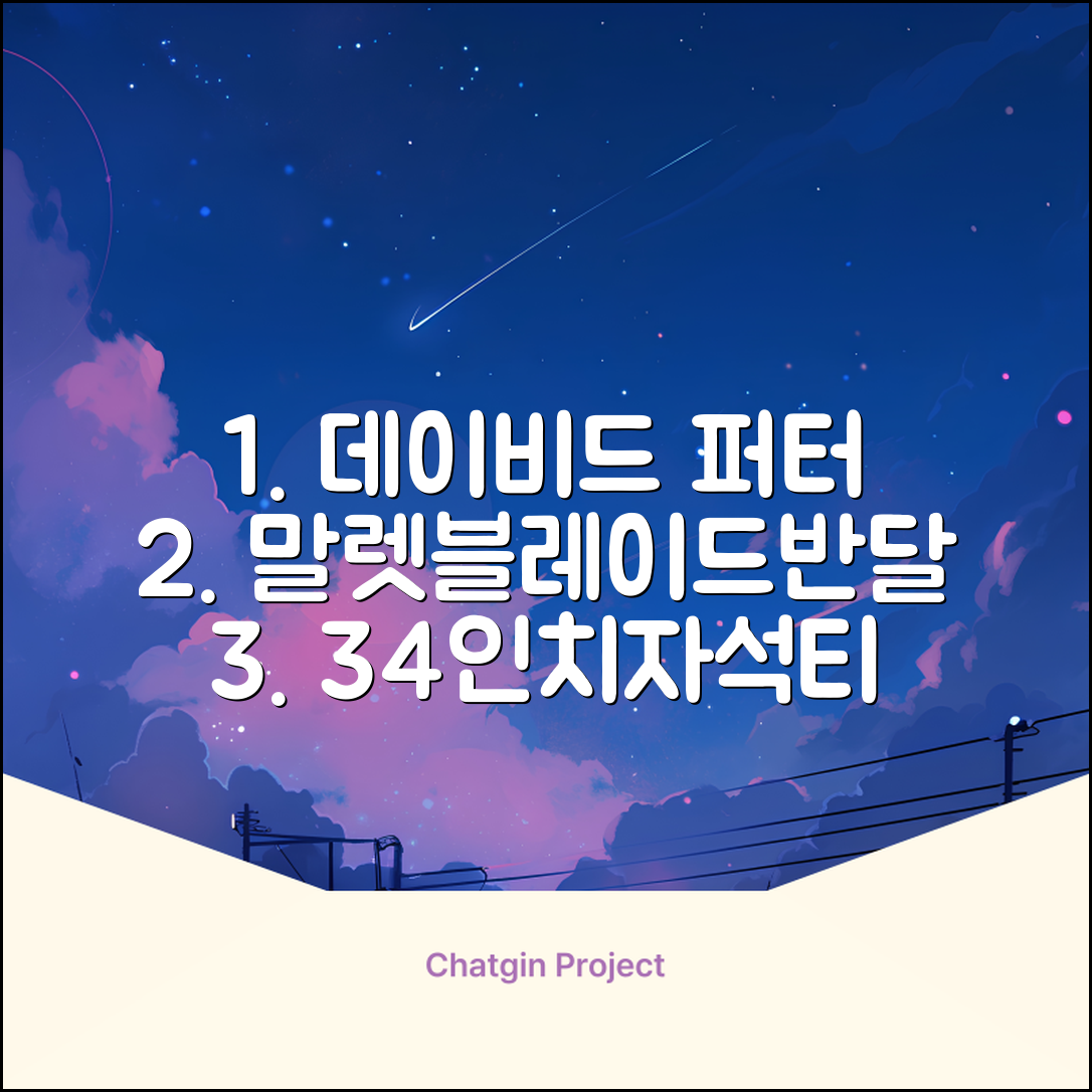 데이비드 프리미엄 투어 퍼터 말렛 블레이드 + 자석티 증정 퍼트 반달 일자, 34인치 추천 리뷰