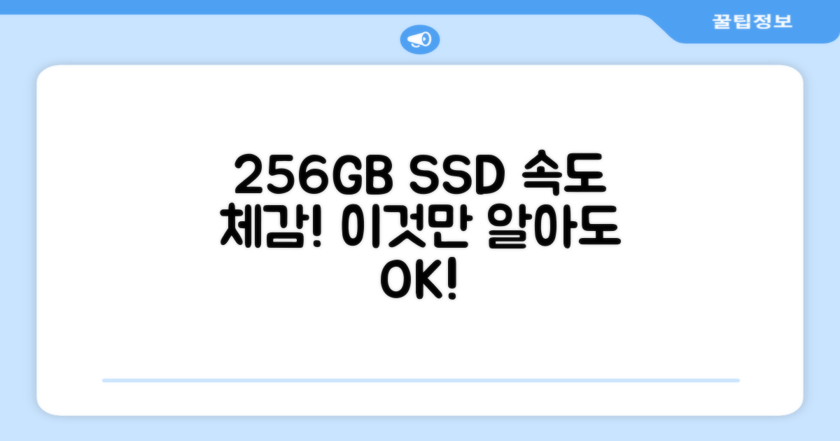 256GB SSD 속도 체감