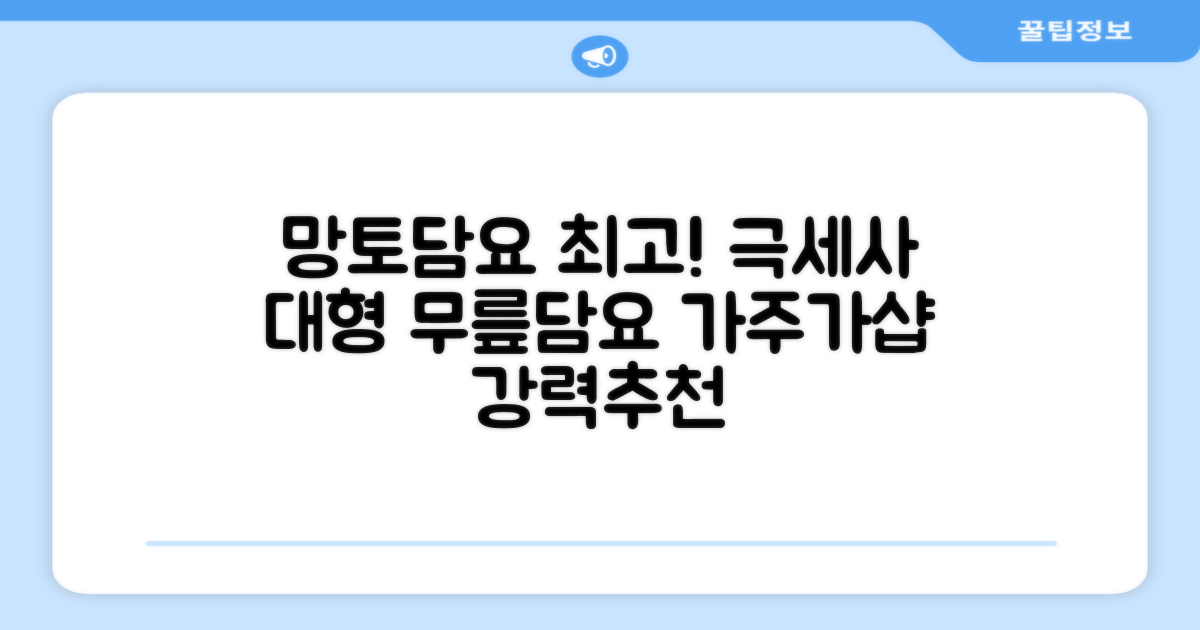 가주가샵 망토처럼 입을 수 있는 똑딱이 극세사 대형 무릎담요 추천 리뷰