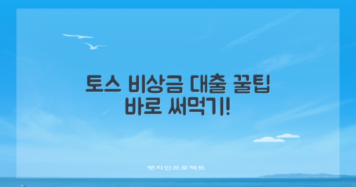 토스 비상금 대출 활용법!