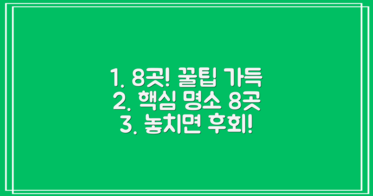 8곳 추천, 제대로 볼 수 있나요?