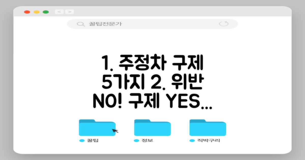 5가지 주정차 구제