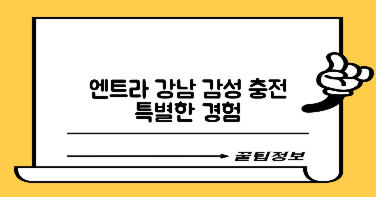 엔트라 강남, 감성 충전하세요