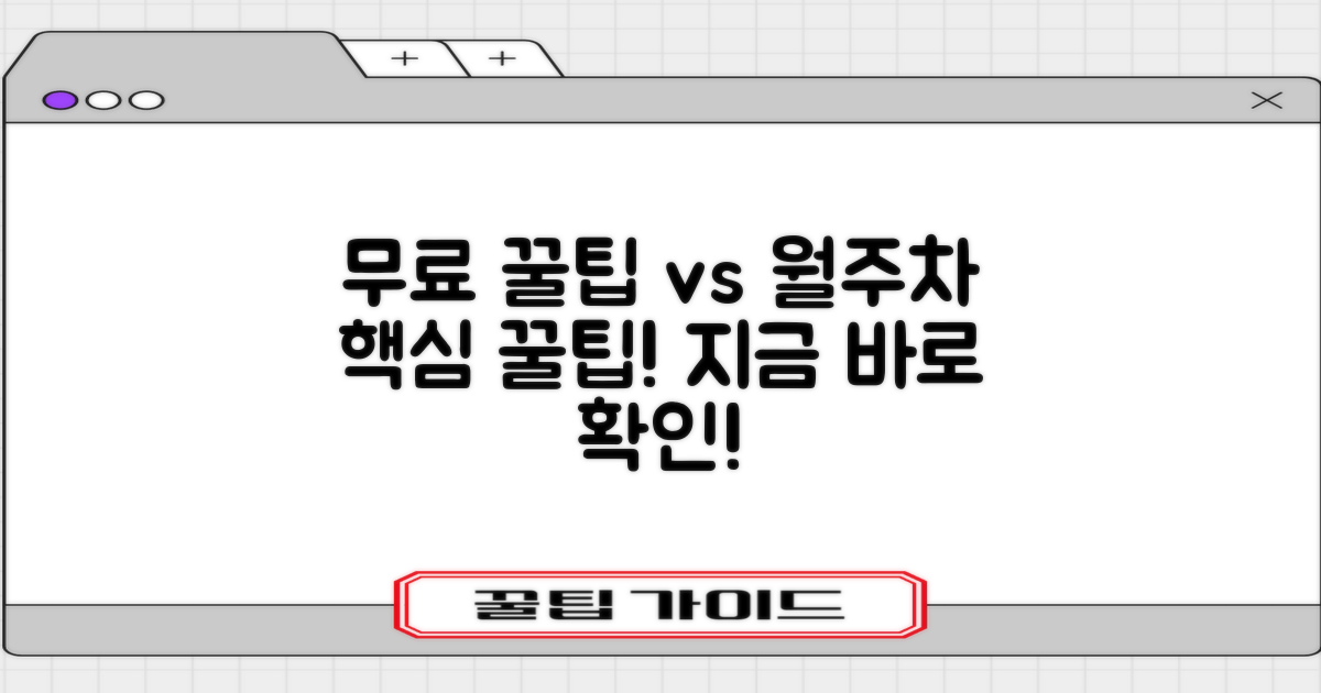 무료 꿀팁 vs 월주차