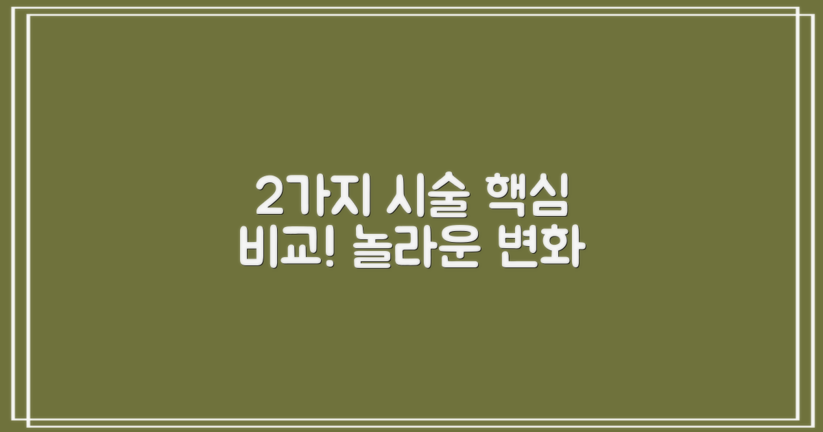 2가지 시술 과정